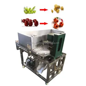 electric dates pitting slicer machine fresh olive pitter industrial plum apricot corer processing machine price on sale