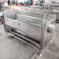 Rouleau brosse multifonction pour légumes industriels Équipement de lavage électrique Laveuse de manioc et de gingembre Machine à éplucher les pommes de terre