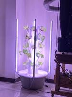 Tour de culture hydroponique verticale d'intérieur Seedafarm à étages, taille personnalisable, système d'irrigation automatique par pompe, facile à utiliser, 3 mois