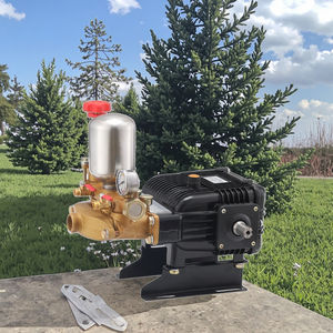 Pompa a Pistone Portatile Sansheng a Tre Cilindri ad Alta Pressione con Motore a Benzina per Applicazione di Pesticidi in Agricoltura - Product Image 2