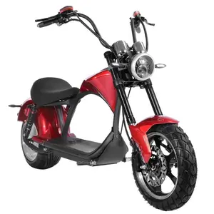 Yeni varış ab depo en iyi scooter yüksek hızlı citycoco 2000w lastik elektrikli offroad çapraz offroad bisikleti güçlü 2 tekerlek