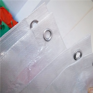 Film plastique de serre pour pastèque, raisin, fraise, cerise / Bâche en PE - Product Image 5