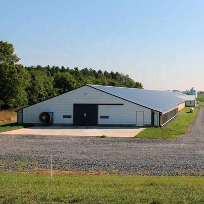 Automated Prefabricated Chicken Poultry Farm House Design for 10000 Chickens Animals Laying Hens Cheap Chicken Hen House Coop