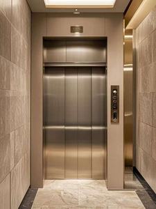Morden Titanium 304 Hairline Ascenseur de passagers en acier inoxydable pour 6 personnes - Product Image 5