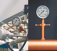 Manomètre Y100BF en acier inoxydable 304, résistant aux vibrations, haute température, personnalisable, plage de mesure 0-20MPa pour