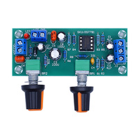 NE5532 DC 10-24V ağır subwoofer ön sahne kurulu HIFI alçak geçiren filtre ön devre güç amplifikatörü ses kutusu değildir