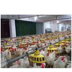 Source factory poultry farm feeding and drinking line system chicken feeder drinker for broiler chicken house breeding