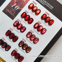 AILANUO Private Label 9D Crystal Cat Eye Set 10 couleurs de vernis gel en volume de 15 ml, ensemble de vernis gel magnétique effet œil de chat