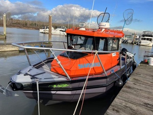 Allsealion E750W Nouveau <span class=keywords><strong>Bateau</strong></span> de <span class=keywords><strong>Pêche</strong></span> <span class=keywords><strong>en</strong></span> <span class=keywords><strong>Aluminium</strong></span> Durable de 7,5 m avec Options Console Centrale/Cabine Fermée, <span class=keywords><strong>Pêche</strong></span> <span class=keywords><strong>en</strong></span> <span class=keywords><strong>Mer</strong></span> à Essence/Gazole - Product Image 3