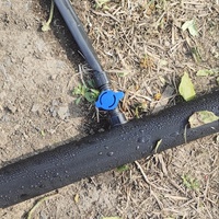 Connecteur économique en PP 16 mm bleu pour ruban goutte-à-goutte, adaptateur de raccordement à écrou de blocage pour tuyau d'irrigation goutte-à-goutte