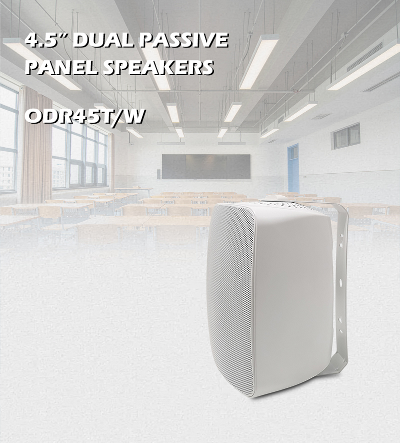 Conference Panel Speakers PSB PWM-1 Ultra-slim, 2-way, Single