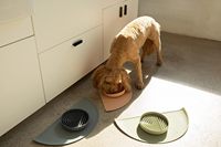 Tapis d'alimentation pour chien en silicone, imperméable et antidérapant, avec rebord surélevé, plateau profond 21x10,5 pouces pour chiens et chats, couleur terre cuite