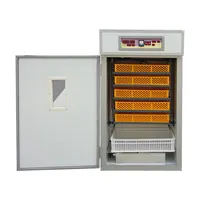 Large Chick Eggs Incubator for Industry In South Africa