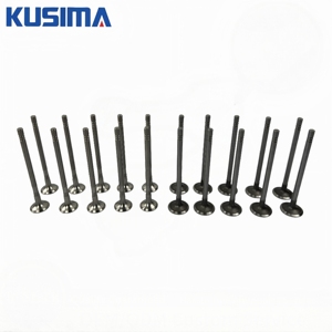Válvula <span class=keywords><strong>de</strong></span> Admisión y Escape del Motor OEM Estándar XS7Q6507A2C 112133 11497784 para <span class=keywords><strong>Ford</strong></span> Ranger <span class=keywords><strong>Transit</strong></span> Van Mazda MK6 V348 2.4 2.2 3.2 TDCi - Product Image 4