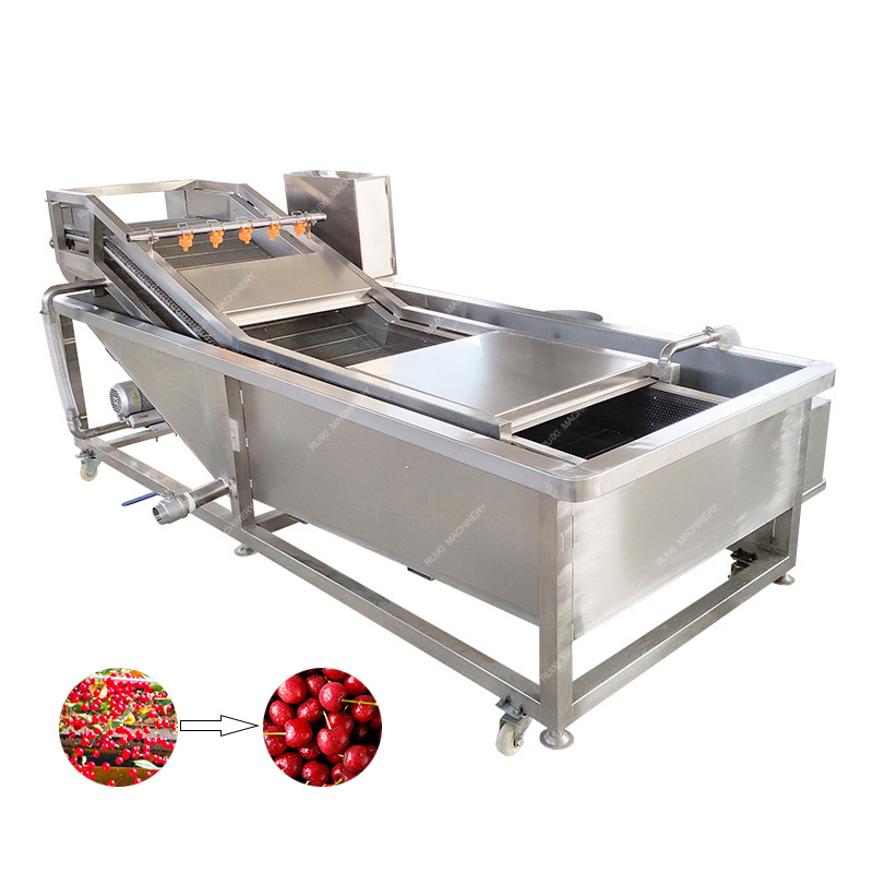 Grape Orange Strawberry Apple Cleaning Machine Fruit Washing Machine Vegetable Bubble Washer Provided