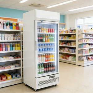 Koelkast voor commerciële doeleinden, groothandel, op maat gemaakt, bierkoelkast, koelkast met glazen deur voor energiedrankjes, 300L - Product Image 1