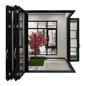 Водонепроницаемая внешняя двойная стеклянная черная Входная раздвижная Алюминиевая Складная Дверь для внутреннего дворика с сеткой
