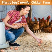 Cartons à œufs en plastique transparents rectangulaires pas chers, 2x6=12 trous, écologiques, empilables, plateaux individuels pour œufs, emballage pour œufs de ferme