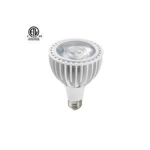 CE RoHs High Efficiency E27 Base LED Spotlight 20W 30W COB LED Lamp PAR30 Bulb