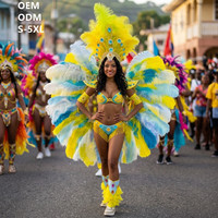Ensemble de costumes de carnaval de Trinité-et-Tobago avec franges de plumes pour femmes, tenue colorée ornée de strass, grand coiffe et bracelets personnalisés 2027