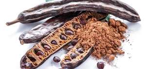 <span class=keywords><strong>Precio</strong></span> <span class=keywords><strong>de</strong></span> fabricante, hierbas <span class=keywords><strong>de</strong></span> algarroba, extracto puro <span class=keywords><strong>de</strong></span> grado alimenticio <span class=keywords><strong>de</strong></span> <span class=keywords><strong>semillas</strong></span> <span class=keywords><strong>de</strong></span> algarroba, polvo <span class=keywords><strong>de</strong></span> semilla <span class=keywords><strong>de</strong></span> algarroba - Product Image 5