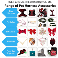 Ensemble collier et laisse pour chien avec motif imprimé personnalisé en usine, kit d'accessoires pour animaux de compagnie entièrement assorti pour chiens et chats, vente en gros