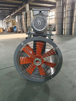 Ventilateur axial 300MM KT40 à moteur externe, ventilateur axial entraîné par courroie, ventilateur axial d'extraction pour cabine de peinture