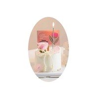 Décoration de gâteau en plastique en forme de cœur, best-seller transfrontalier, style influenceur, ornement de table pour desserts, modèle 520
