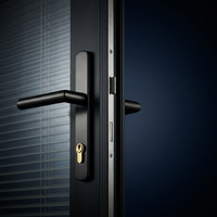 Porte extérieure en aluminium à double vitrage trempé, isolée thermiquement, anti-corrosion, durable, pour maison de campagne