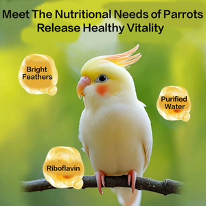 Papağan tüy bakım Riboflavin vitamini parlak tüyler yumuşak Pet kuşlar için kaliteli Pet sağlık takviyeleri - Product Image 3