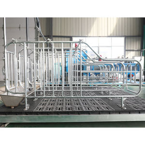Jaula de Gestación Moderna para Cerdos 2026 con Todos los Accesorios para Granjas Porcinas - Product Image 3