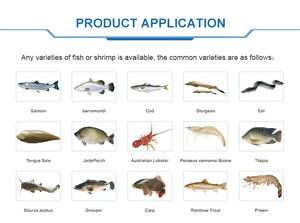 Équipements et outils de système d'aquaculture en recirculation pour l'élevage de poissons en Malaisie, pour la ferme piscicole de poisson-chat - Product Image 5