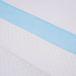 OEM Custom Logo Thick Pet Training <b>Pad</b> 33*45cm 45*60cm 60*60cm 60*90cm <b>Pee</b> <b>Pads</b> for Dogs - Product Image 3