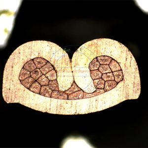 Analizador de Secciones Planas JCW-QC35, Máquina de Análisis de Cortes Transversales de Terminales de Molienda Automática - Product Image 4