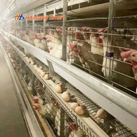Système de cages automatiques en H pour poules pondeuses, équipement avicole résistant à la corrosion avec plaques ZAM pour poulaillers