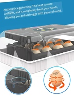 Incubateur d'œufs intelligent automatique pour la maison, contrôle numérique de la température et de l'humidité, équipement d'éclosion automatique léger