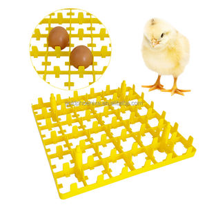Yyc plateau d'incubation d'oeufs de cellules en plastique réutilisables pour le plateau d'incubateur d'oeufs de poulet 36 plateau d'oeufs de poulet - Product Image 1