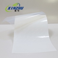Transparentes PET-Gummi Heißschmelz-Einseitig Selbstklebendes Anti-UV Wasserdichtes Anpassbares Etikettenpapier & -Folie