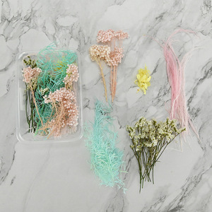 Flor seca DIY Materiales florales Flor eterna Artesanía Decoración para fiesta de boda <span class=keywords><strong>Curso</strong></span> de arte floral Paquete de material artificial - Product Image 6