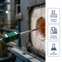S-Type Dual Thermocouple Probe Pt-Rh 0-1600 deg C Precision Temperature Sensor for Lab & Industry