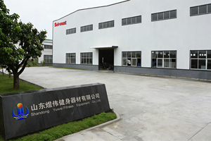 Macchina Professionale per Panca Declinata da Palestra, Attrezzatura Completa per l'Allenamento della Forza del Torace - Product Image 4