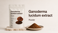 Extrait Pur de Champignon Reishi (Ganoderma Lucidum) de Qualité Alimentaire, 5%-30% Polysaccharides, Poudre Végétale, 1kg, Fournisseur Certifié ISO