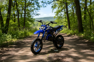 Precio Directo de Fábrica, Motocicleta Todoterreno de 50cc, Refrigerada por Aire, de Gasolina, para Niños, Motocross de 2 Tiempos, 40-60km/h, Envío Gratis - Product Image 4