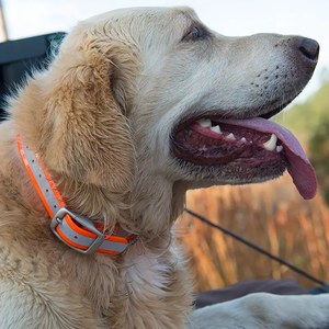 طوق كلب عاكس للضوء من مادة TPU قابل للتعديل ومقاوم للماء مع مشبك من سبائك الألومنيوم شديد التحمل للكلاب متوسطة وكبيرة الحجم للسلامة الليلية - Product Image 6