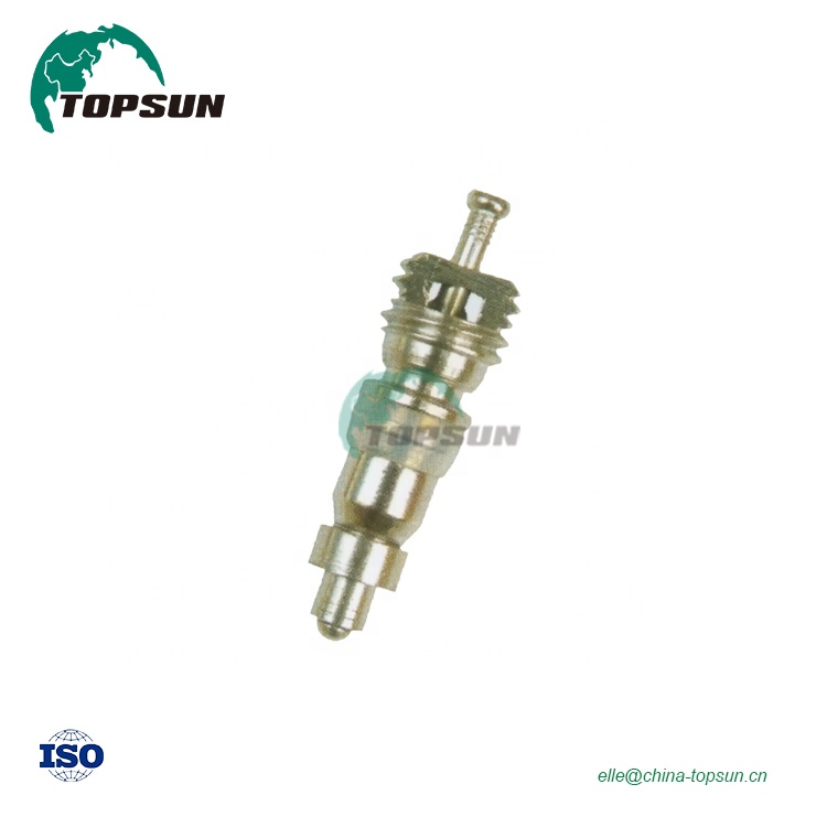 Прямая Заводская поставка, сердечник клапана автомобиля 9002, выхлопной клапан, стержень клапана шины, сердечник, подходит для tr414 413