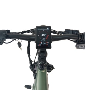 QUEENE/nouveauté Mid Drive <span class=keywords><strong>Velo</strong></span> Electrique 48V entraînement par courroie E Bike gros VTT électrique avec Nexus intérieur 7 vitesses - Product Image 5