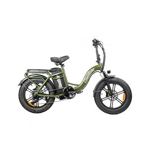 Vélo électrique Chamrider DT450 avec pneus larges de 20 pouces, batterie au lithium 48V 50AH, autonomie de 300 km, vélo électrique Fatbike, vélo de livraison électrique - Product Image 1