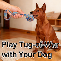 OEM & ODM 5 pièces Jouets à mâcher pour chien en corde de coton et TPR, jouets interactifs faits à la main pour chiens de taille moyenne et grande