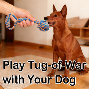 El Yapımı Kırılmaz Pamuk Halat ve TPR Köpek Çiğneme Oyuncakları Seti, Orta ve Büyük Irklar İçin Agresif Çiğneyiciler İçin Köpek Halat Oyuncakları - Product Image 2