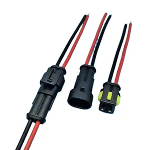 Auto veicolo motocicli 2 Pin Way adattatore elettrico impermeabile spina filo IP65 femmina cavo Auto connettore Auto Auto